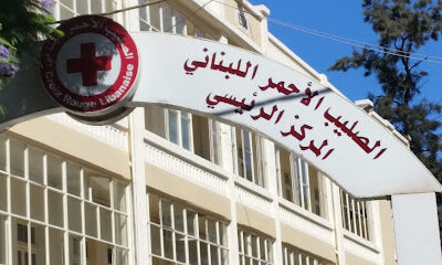5. Experience through the “Lebanese Red Cross Centre-Mreijeh”